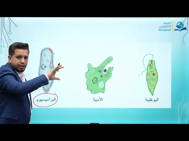 مادة الاحياء للصف الثاني المتوسط / الفصل الثالث / الدرس الأول/  مملكة الطليعيات - ج2  الهدبيات