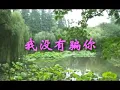 [江淑娜] 我没有骗你 -- 经典名曲 (Official MV)