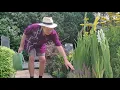 Lagu In de tuin bij Henk, aflevering 5, de Salvia Superba