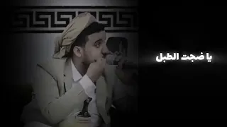 يا ضجه الطبل عدي السفياني  لايك اشتراك  زوامل يمنية   عدي السفياني        اكسبلور  لايك اشتراك دندنها