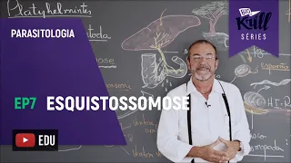 Esquistossomose (Parasitologia - EP 7) | Biokrill Series