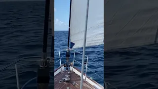 Let’s Go Sailing! #shorts #sailinglife