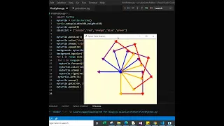 Draw Snowflake using Python Turtle Graphic