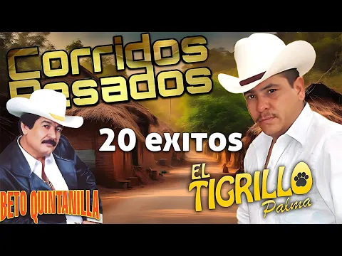 Download MP3 Beto Quintanilla y El Tigrillo Palma ( 20 Exitos ) - Corridos Pesados Mix