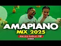 Download Lagu DJ BINGHI AMAPIANO VIDEO MIX 2025 FT TETE, NGISHUTHENI, BIRI MARUNG
