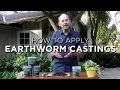 How to Use Earthworms Castings