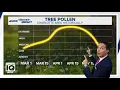 NC pollen levels are on the rise Here s what you need to know