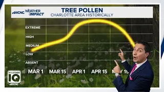 NC pollen levels are on the rise Here s what you need to know