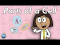 What are Cells Science For Kids