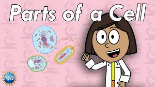 What Are Cells Science For Kids 