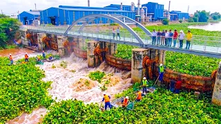 Massive Team Work Removes Thousands of Hyacinths to Save the Hydroelectric Dam