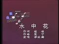 1991年央视春节联欢晚会 歌曲《水中花》  谭咏麟| CCTV春晚