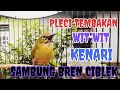 Download Lagu Pleci Tembakan Wit Wit Kenari Sambung Bren Ciblek
