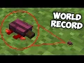 Tiny Things in Minecraft