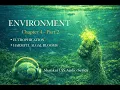 Chapter 4 Part 2 Eutrophication Harmful Algal Blooms HABs
