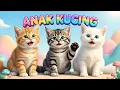 Lagu LAGU ANAK 🇮🇩 ANAK KUCING MEONG MEONG - KITTEN SONG - LAGU ANAK BALITA VIRAL