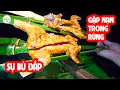 Download Lagu Suýt Mất M*ạng Trong Rừng Sau 3 Ngày Rừng Trả Lại Toàn Thịt Ngon  ✧ Suối Bản Tv
