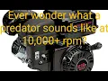 Running a couple of mild predator 212 s on the dyno at 10 000 RPM Let the ponies sing