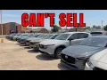 Mazda Dealership Completely Full