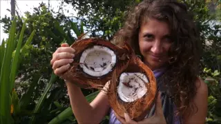 Sailing Into Freedom   Episode 21 Plukky & the Italian girls as bush tucker amateurs