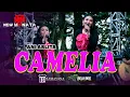 Download Lagu CAMELIA - ANI ARLITA - NEW MONATA