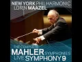 Symphony No. 9: III. Rondo: Burleske (Allegro assai, very insolent)