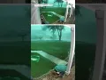 Dramatic Ring captures possible tornado whipping through Illinois yard