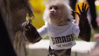 Dimitri Vegas Like Mike Vs Ummet Ozcan The Hum Official Music Video 