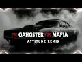 Not Gangster I'm Mafia Mashup | Sidhu Moose Wala | Slowed + Reverb