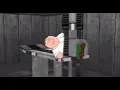 Download Lagu peter griffin in the femur breaker [Remastered]