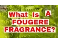 What Is A Fougere Fragrance
