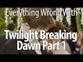Everything Wrong With The Twilight Saga Breaking Dawn - Part 1