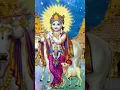 Download Lagu mithe ras se bhariori Radha Rani lage 🌺🚩