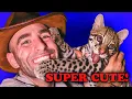 Download Lagu Cutest Animal Encounters! - Ocelot, Baby Sloth, Stinky Wombat \u0026 MORE!