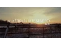 The National Beef Strategy Part 1 of 3
