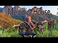 Lagu EFFEDRINA – Sunset Tribal House Mix | Melodic House DJ Set in Nature (4K)