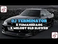 Download Lagu DJ TERMINATOR X TUMANEDANG X MELODY OLD SLOWED VIRAL TIKTOK!