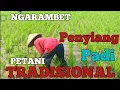 Download Lagu Ngarambet - Penyiang gulma padi tradisional