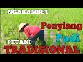 Lagu Ngarambet - Penyiang gulma padi tradisional