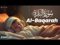 Surah Al Baqarah سورة البقره | Protection \u0026 Ultimate Sleep | Lofi Quran for Sleeping