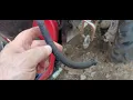 TYM - T234 hst tractor low pressure Fuel Pump Cheep Replacement