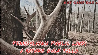 صيد الأيل في الأراضي العامة في بنسلفانيا غزال عمره 9 5 سنة اليوم الأول من معسكر الأيل 