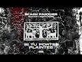 Download Lagu Skulio x L'Oiseau Rare - BLACK PANTHER (LYRICS VIDEO)