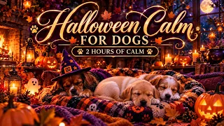 Halloween Calm for Dogs 🎃🐾 | 2 Hours of Soothing Music & Cozy Ambience