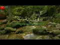 Zikir Taubat Nasuha - Astaghfirullah Rabbal Baraya (2 Jam Tanpa Henti)