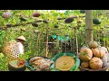 Download Lagu Squash — Get The Most Out Of It! Harvest, Store and Savor | Squash Soup, Okoy, Buchi, Jam, Veg Meat