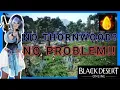 The BEST Zones to Get Caphras Stones in Black Desert Online for EVERY Gearscore