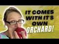 A home WITH AN ORCHARD for sale in Palatine 921 S Brockway Street