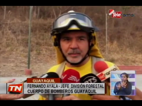 Incendio en cerro San Eduardo se propagó por varias horas
