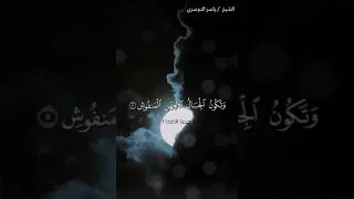 سورة القارعة بصوت الشيخ ياسر الدوسري     دندنها